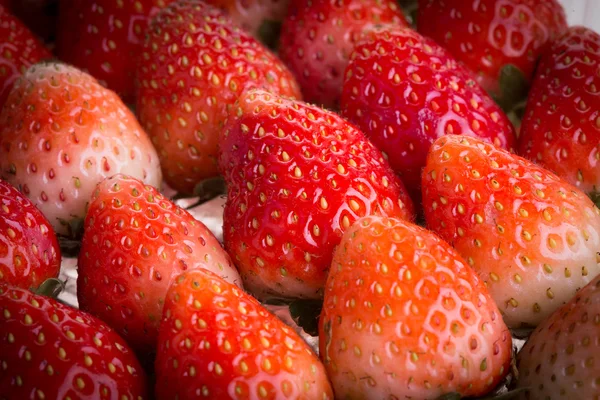 Strawberry fresh fruits — Stock Photo, Image