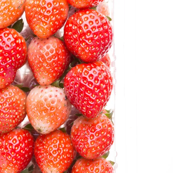 Red ripe strawberry in plastic box of packaging, isolated