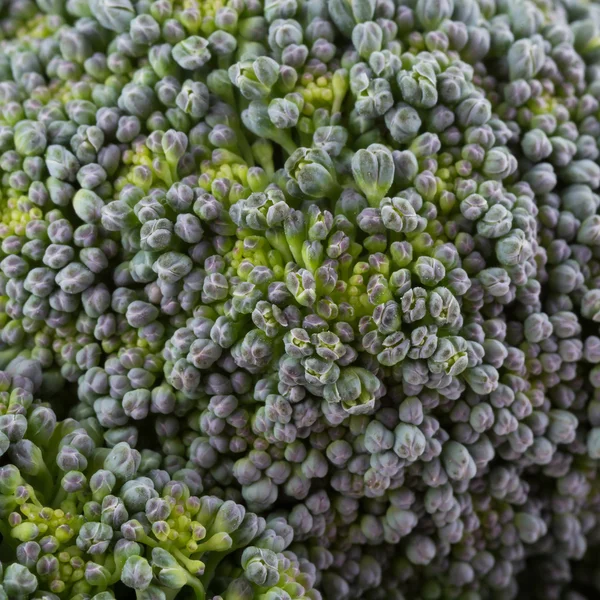 Зеленый брокколи органические овощи, закрыть изображение — стоковое фото