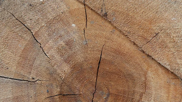 Texture des billes de bois fond avec fissure dommages de vieilli annuel — Photo