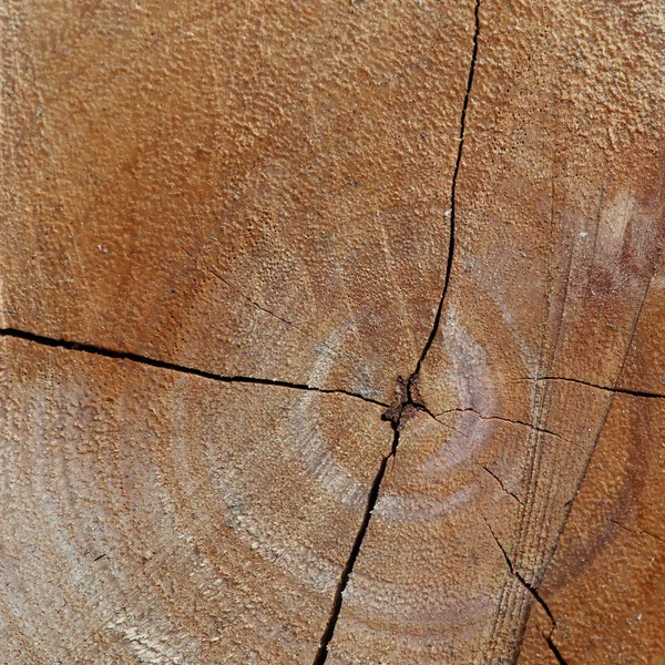 Texture des billes de bois fond avec fissure dommages de vieilli annuel — Photo