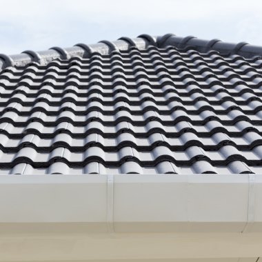 evin çatı üstüne Beyaz Cilt payı