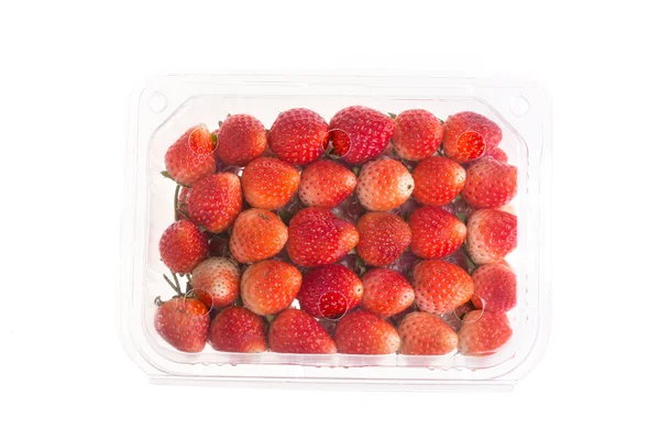 Red ripe strawberry in plastic box of packaging — Stock Photo, Image