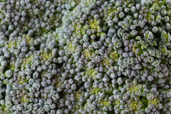 Organicznych warzyw zielonych brokułów, bliska obraz — Zdjęcie stockowe