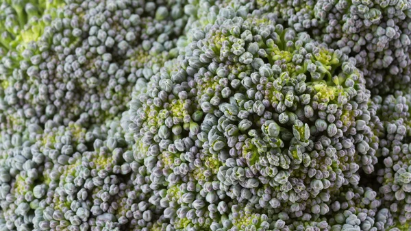 Organicznych warzyw zielonych brokułów, bliska obraz — Zdjęcie stockowe