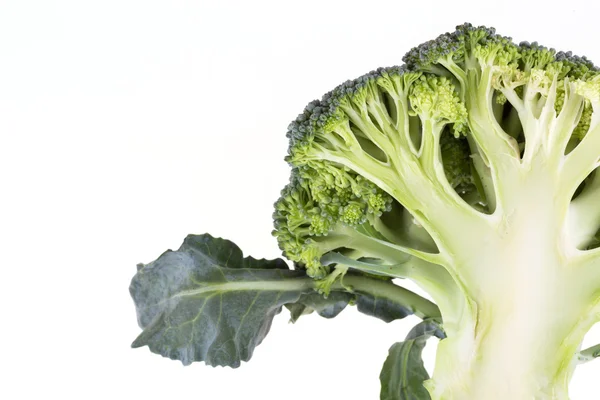 分離された緑のブロッコリー野菜 — ストック写真