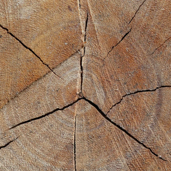 Tekstura drewna rejestruje tło z cracka uszkodzenia w wieku — Zdjęcie stockowe
