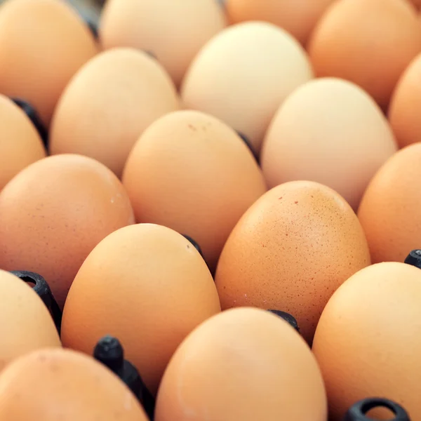 从鸡的新鲜有机鸡蛋农场出售农业 — 图库照片