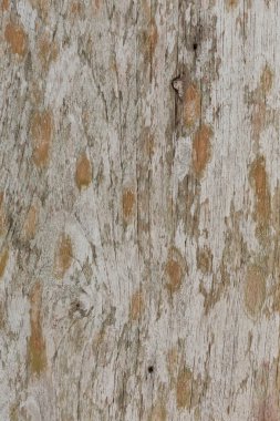 Grunge ahşap rustik ahır tahta doku arka plan