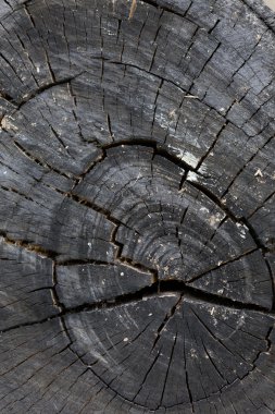 doku siyah ahşap arka plan yaşlı çatlamak hasarla kaydeder. 