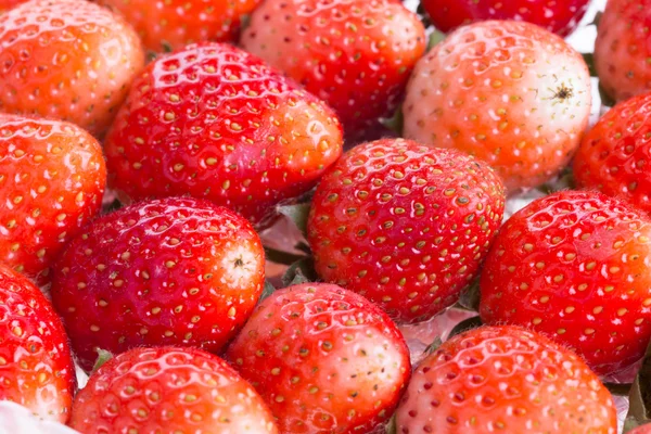 Strawberry fresh fruits — Stock Photo, Image