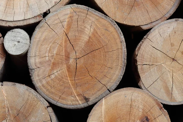 Madera troncos textura de los anillos anuales envejecidos — Foto de Stock