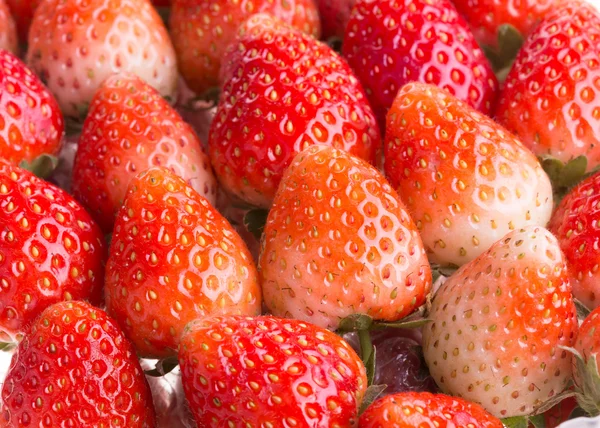 Strawberry fresh fruits — Stock Photo, Image