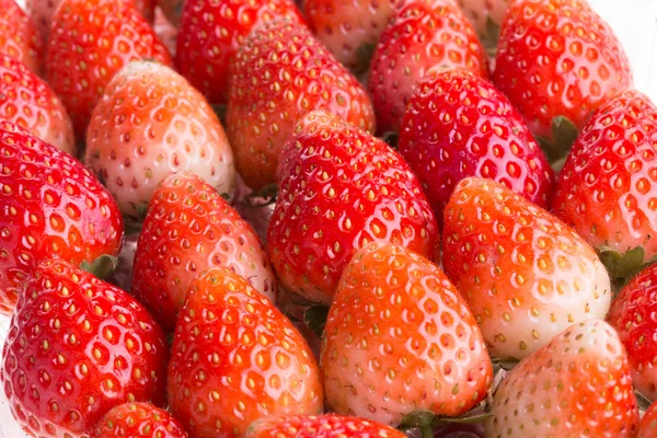 Aardbeien vers fruit — Stockfoto