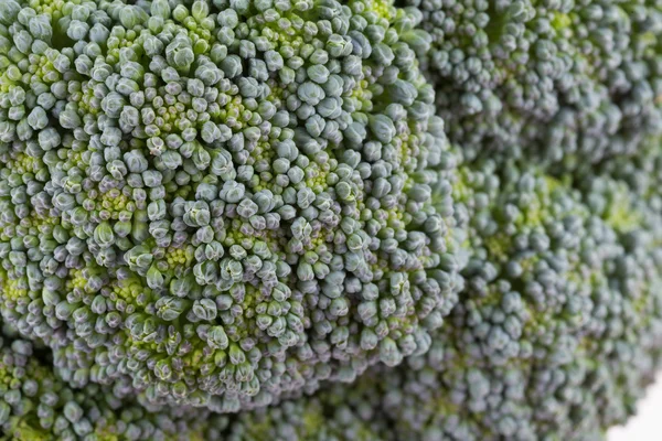 Зеленый брокколи органические овощи, закрыть изображение — стоковое фото