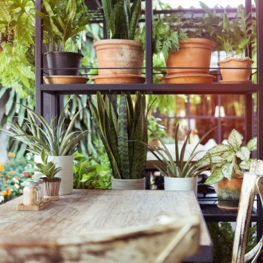 bulanıklık görüntü, dekorasyon oturma odası iç tarzı yeşil