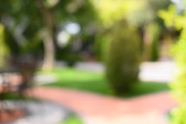 Sabahları soyut bulanık bahçe, dış bahçe tasarımı.