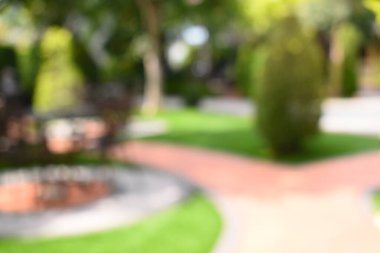 Sabahları soyut bulanık bahçe, dış bahçe tasarımı.