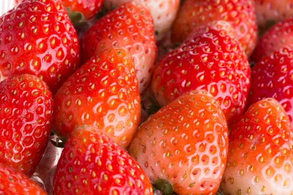 Strawberry fresh fruits — Stock Photo, Image