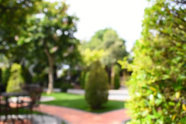 Sabahları soyut bulanık bahçe, dış bahçe tasarımı.