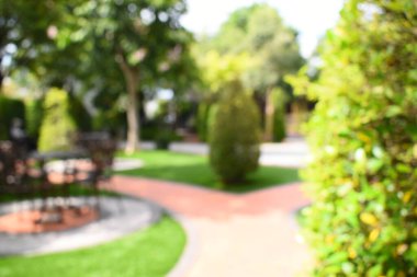 Sabahları soyut bulanık bahçe, dış bahçe tasarımı.