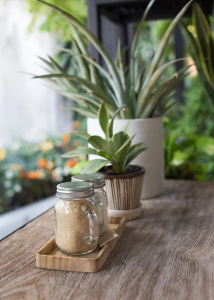 Açúcar em jarro de vidro com pequena árvore na planta pote decorado — Fotografia de Stock