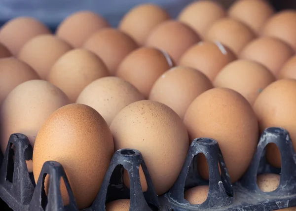 Telur organik segar dari peternakan ayam untuk dijual — Stok Foto
