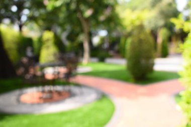 Sabahları soyut bulanık bahçe, dış bahçe tasarımı.