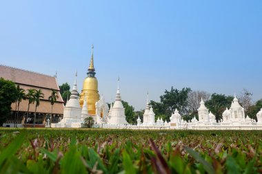 Golden pagoda wat suan dok Tapınağı, chiang mai, Tayland