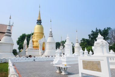 Golden pagoda wat suan dok Tapınağı, chiang mai, Tayland