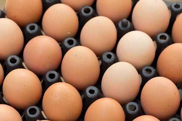从鸡的新鲜有机鸡蛋农场出售农业 — 图库照片