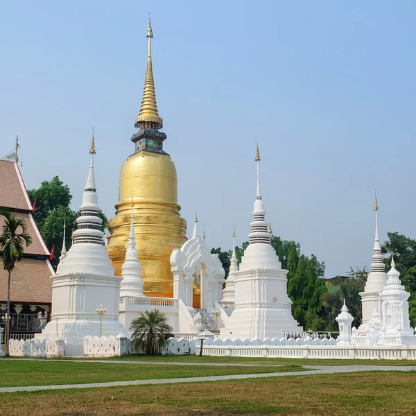 Złota pagoda w świątyni wat suan dok, chiang mai, Tajlandia — Zdjęcie stockowe