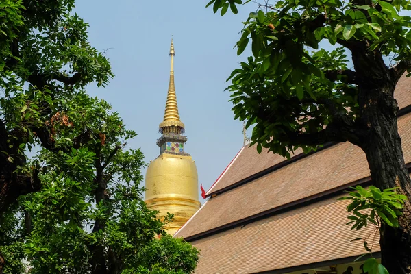 Goldene Pagode im Wat Suan Dok Tempel, Chiang Mai, Thailand — Stockfoto