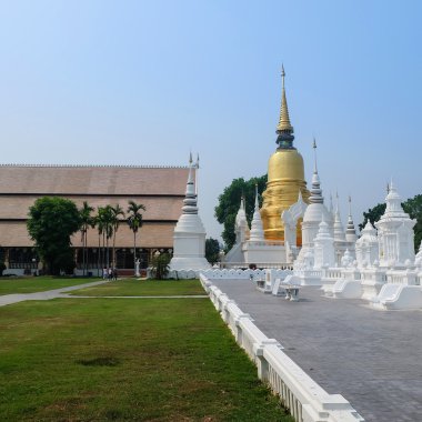 Golden pagoda wat suan dok Tapınağı, chiang mai, Tayland