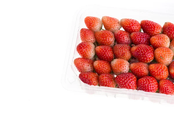 Red ripe strawberry in plastic box of packaging, isolated — Stock Photo, Image