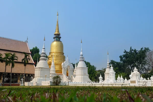 Golden pagoda wat suan dok Tapınağı, chiang mai, Tayland — Stok fotoğraf