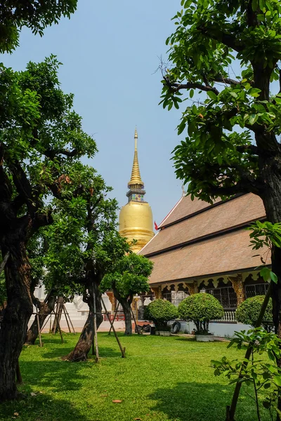 Golden pagoda wat suan dok Tapınağı, chiang mai, Tayland — Stok fotoğraf