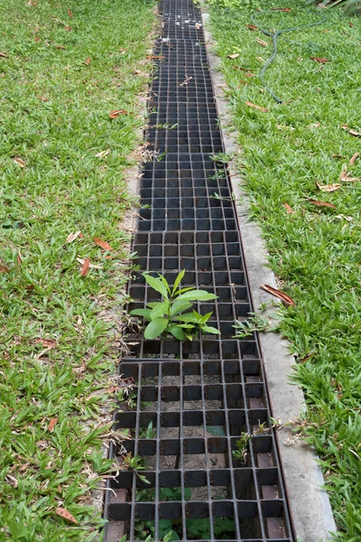 Железная решетка канализации в травяном саду — стоковое фото