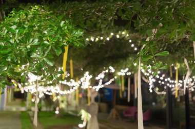 Ağaçta asılı dekorasyon ışık Noel Kutlamaları