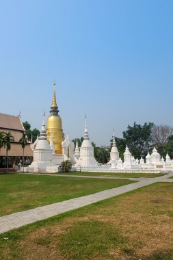 Golden pagoda wat suan dok Tapınağı, chiang mai, Tayland