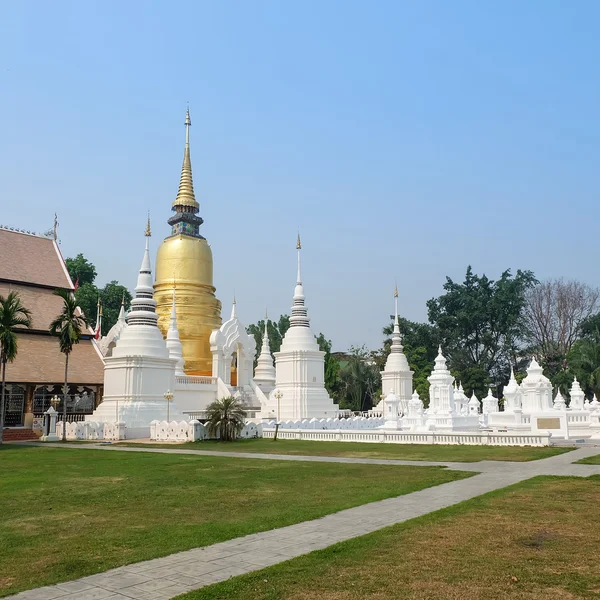 Gouden pagode in dok tempel wat suan, chiang mai, thailand — Stockfoto