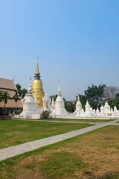 Golden pagoda wat suan dok Tapınağı, chiang mai, Tayland — Stok fotoğraf