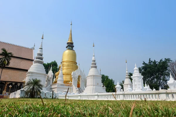 Golden pagoda in wat suan dok temple, chiang mai, thailand — Stock Photo, Image