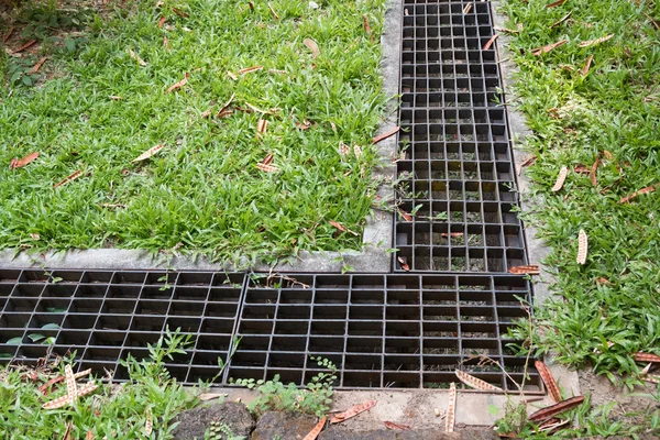 Железная решетка канализации в травяном саду — стоковое фото