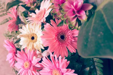 çiçek düğün dekorasyon, güzel gerbera çiçek çiçeklenme