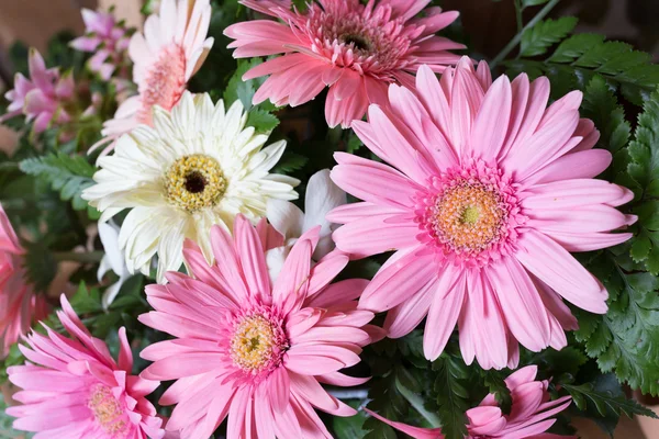 Decoração do casamento da flor, flor bonita de gerbera florescendo — Fotografia de Stock