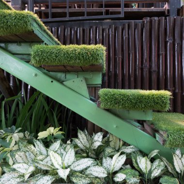 Bahçe, dekorasyon ev bahçe yeşil çim merdiven