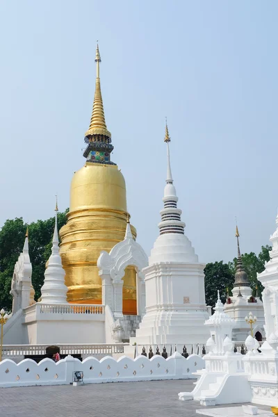 Golden pagoda wat suan dok Tapınağı, chiang mai, Tayland — Stok fotoğraf