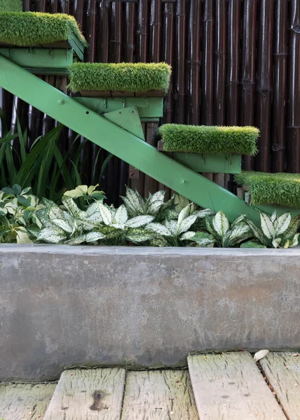 Escalera de hierba verde en el jardín, decoración interior jardín del hogar —  Fotos de Stock