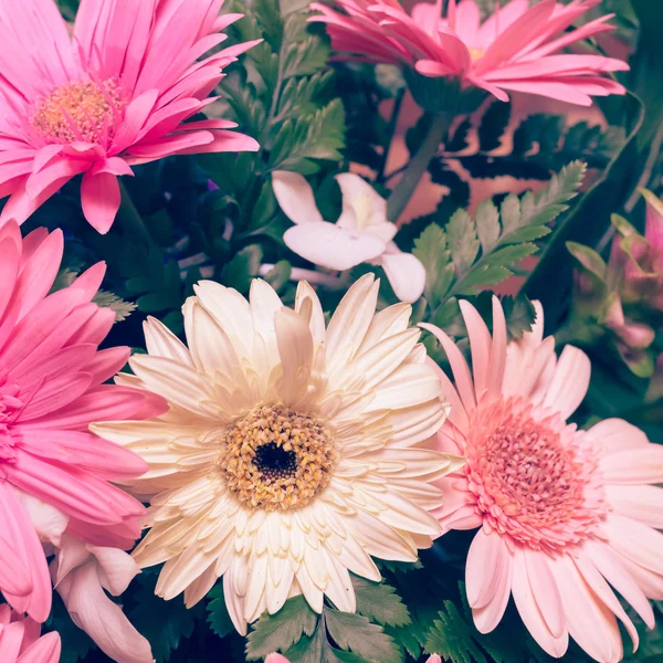 çiçek düğün dekorasyon, güzel gerbera çiçek çiçeklenme